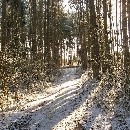 Cozy In With Kitchen *