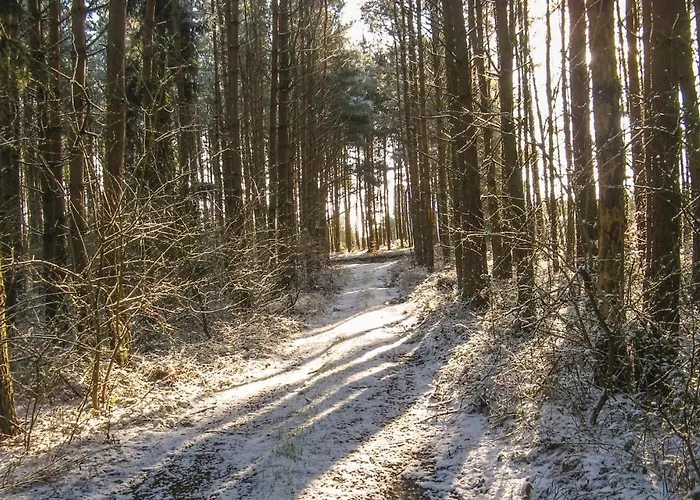 Cozy In With Kitchen *