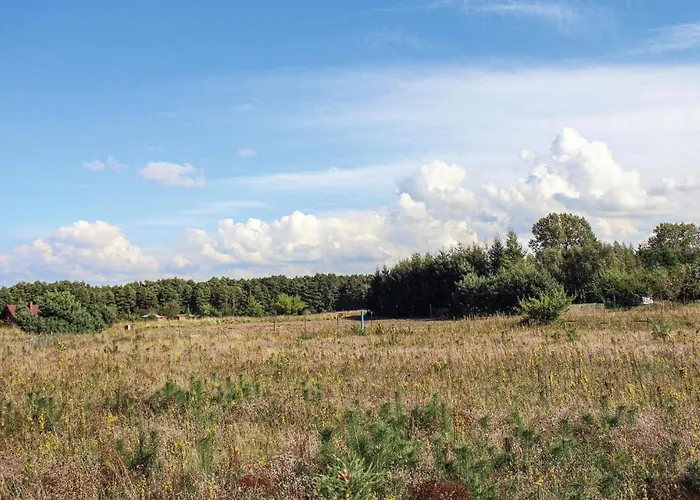 Cozy In With Kitchen Nyaraló