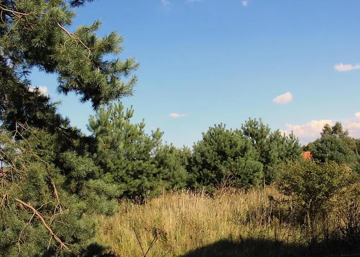 Cozy In With Kitchen * Kołczewo